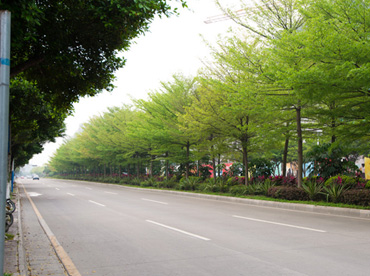 鄭州市園林規劃局